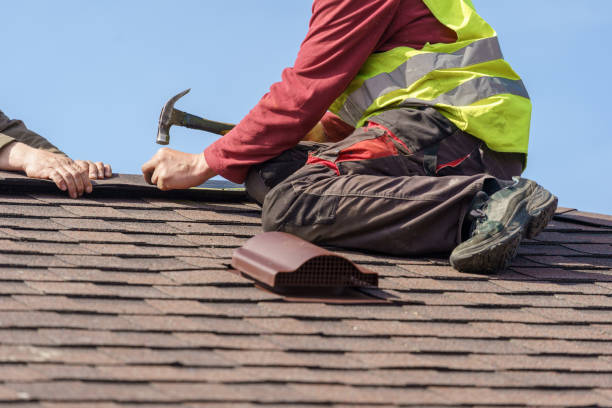 Roof Gutter Cleaning in Dunlap, IN