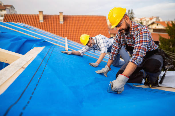 Best Roof Gutter Cleaning  in Dunlap, IN